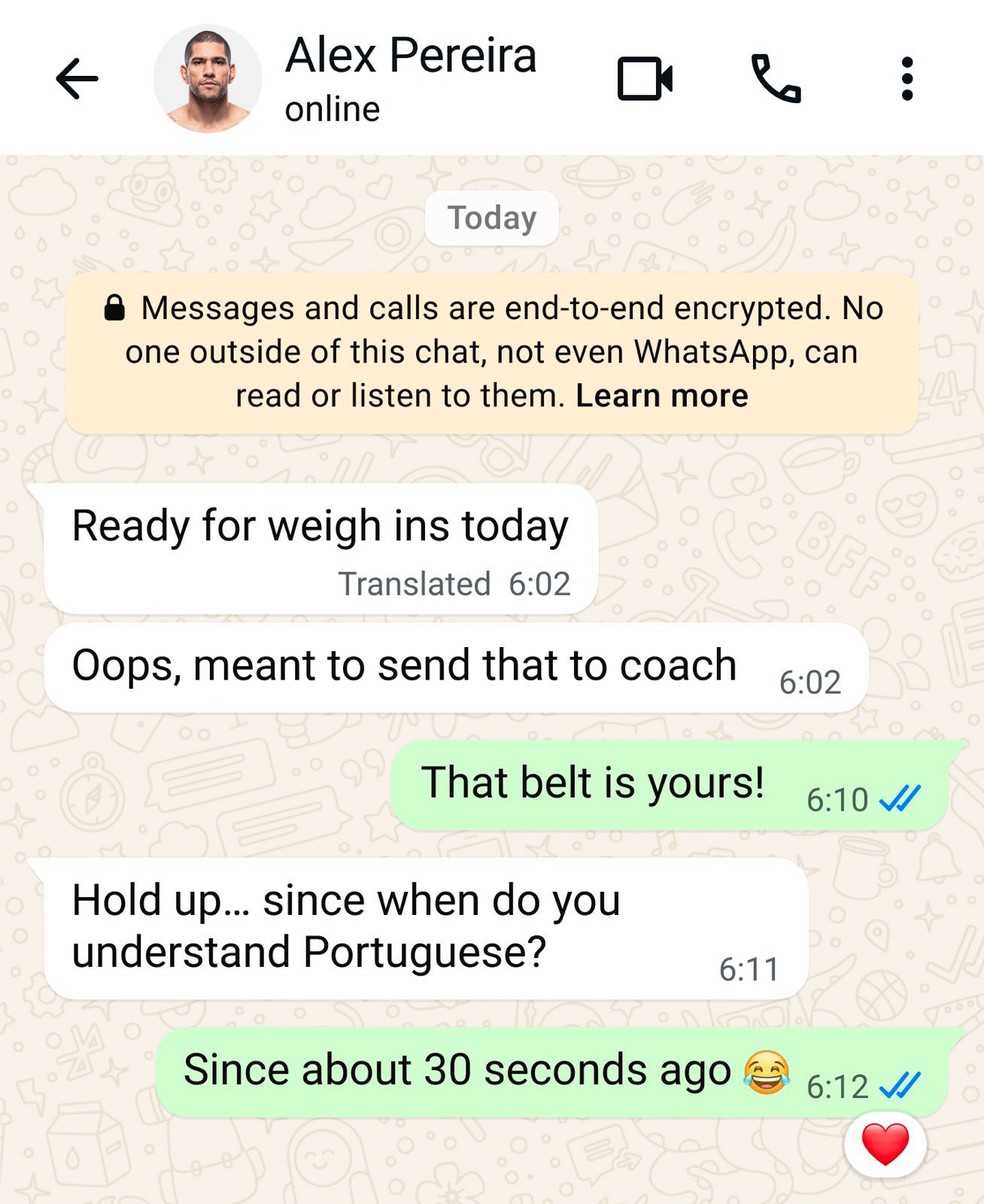 Imagem de tradução do WhatsApp — Foto: Divulgação/Meta