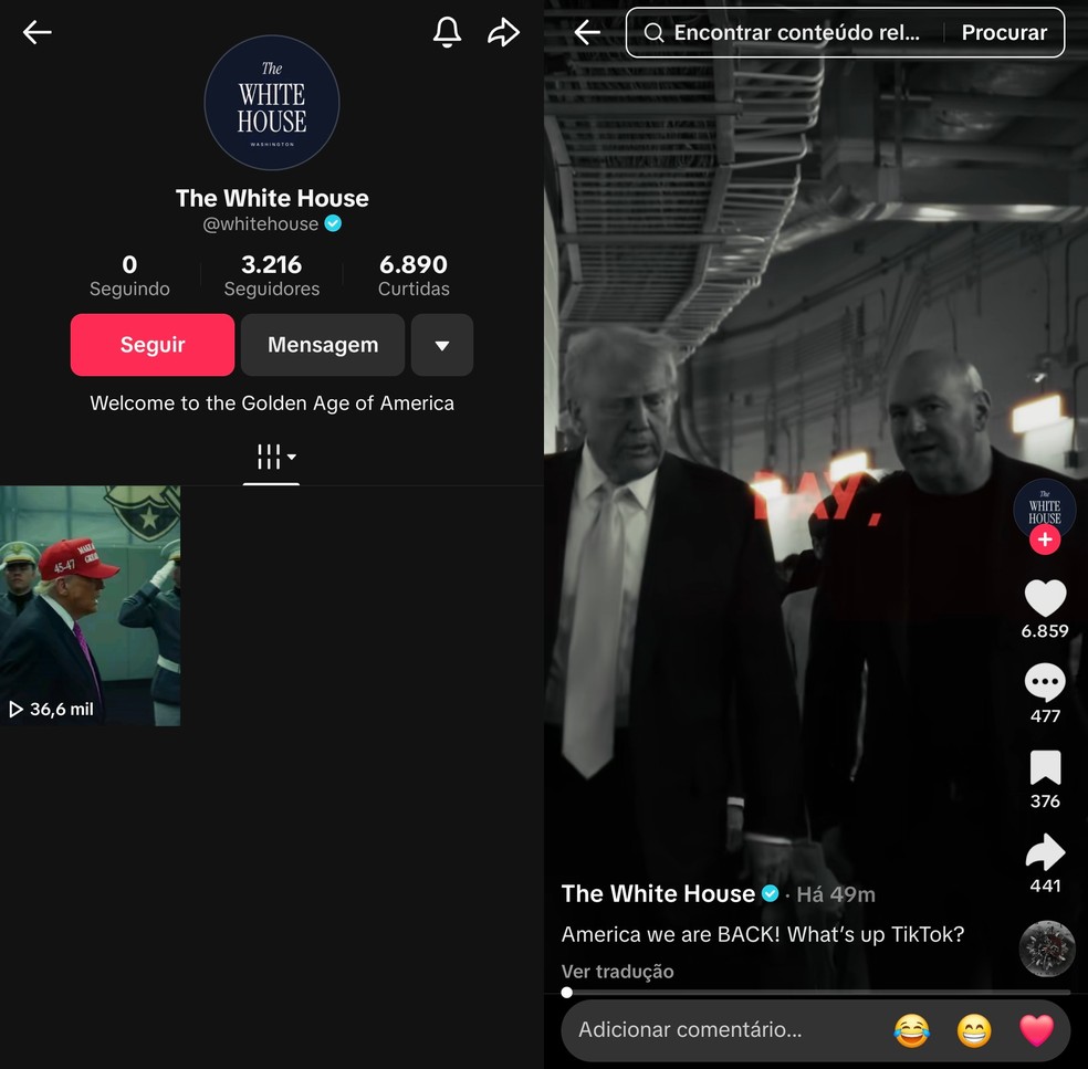 Perfil da Casa Branca no TikTok — Foto: Reprodução